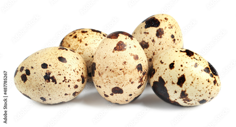 Many beautiful quail eggs on white background Many beautiful quail eggs on white background