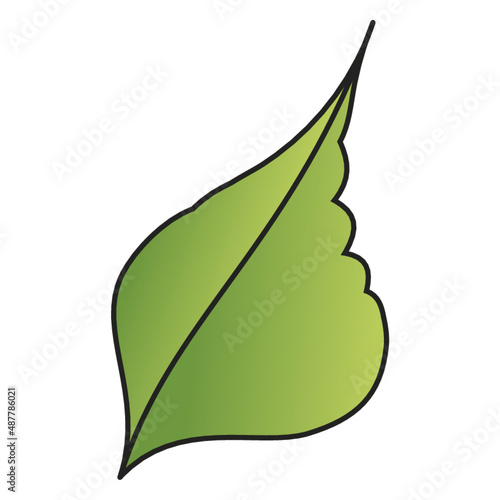 icon of a single leaf