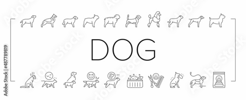 Dog Domestic Animal Collection Icons Set Vector .