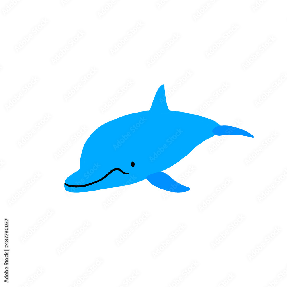 イルカ イルカ