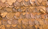 dry leaf texture background for fence