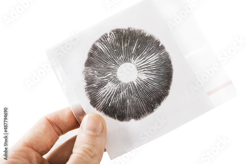 Spore Print Mycology and Mushrooms as Medicines photo