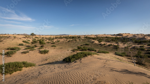 Die atemberaubende schöne Landschaft der Wüste Gobi, gespickt mit Sanddünen, aufregenden Sandstrukturen von Riffeln, Gras und kleine grünen Büschen photo