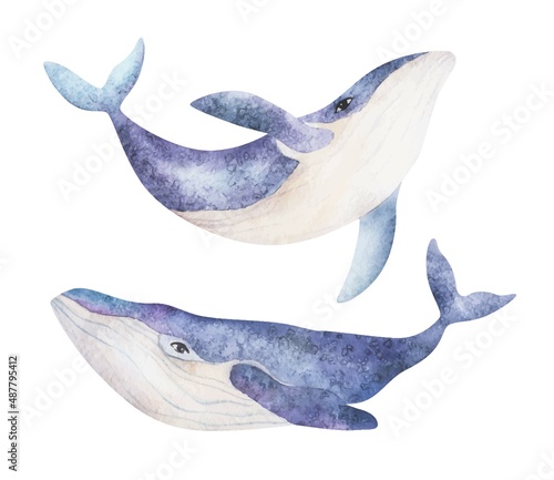 Watercolor cute purple whales on the white background. Sea Animal Hand draw art illustration
