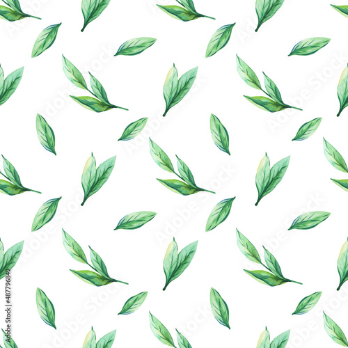 Watercolor green leaves on white background. Spring,summer herbal print