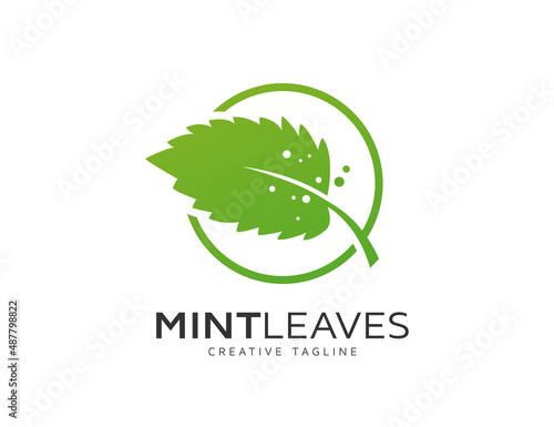 Fresh green mint leaves logo design