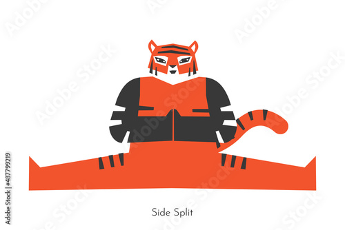 Vector isolated concept with animal cartoon character doing yoga practice - Samakonasana. Chinese tiger learns Straight Angle Pose - Side split. Flat illustration of stretching fitness exercise