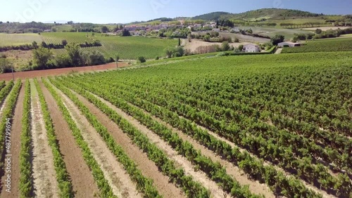 Languedoc-Roussillon's vineyards with drone photo