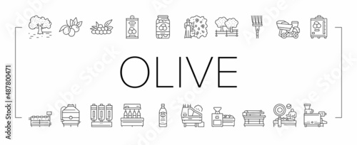 Olive Production And Harvesting Icons Set Vector .
