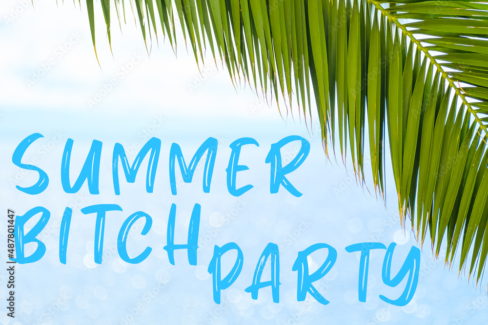 Summer bitch party message written in elegant font on the background with palm leaf and blue sea. Holiday concept and advertising of tour agency. 