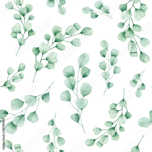 Fototapeta Naklejka Na Ścianę i Meble -  Watercolor seamless pattern green leaves eucalyptus. Isolated on white background. Hand drawn clipart. Perfect for card, fabric, tags, invitation, printing, wrapping.