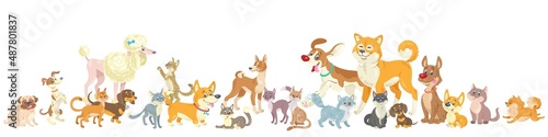 Group of funny dogs and cats. Different emotions, poses and breeds. Banner in cartoon style. Isolated on white background. Vector flat illustration.