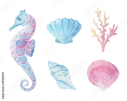 Sea animals set watercolor. Shell aquarium background. marine illustration, jellyfish, starfish