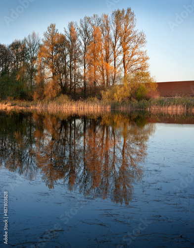 spring landscape, trees with bright leaves in the reflection of the river water