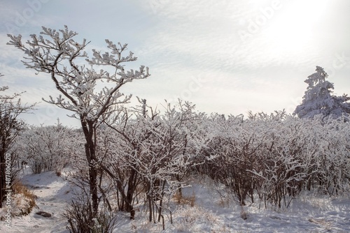 Wallpaper Mural 태백산 Torontodigital.ca