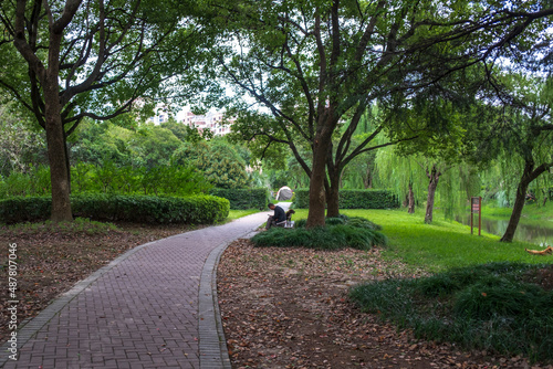 Park Grass, trees and paths