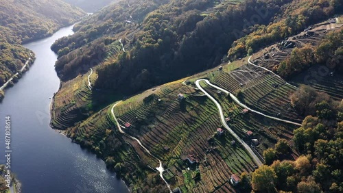 Famous Vineyards Of Ribeira Sacra By The River Sil In Galicia, Spain On A Sunny Day. aerial drone, arc shot photo