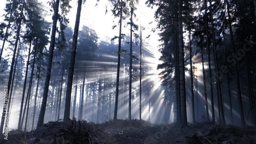 Sun rays shining through the trees in Moravskoslezske Beskydy with Vysoky Rykali peak photo
