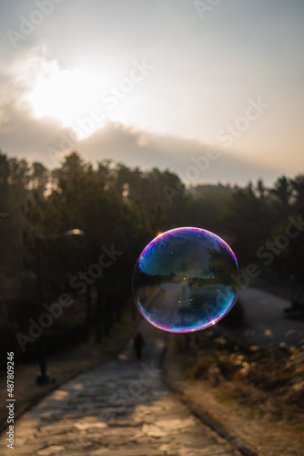 soap bubbles in the sky