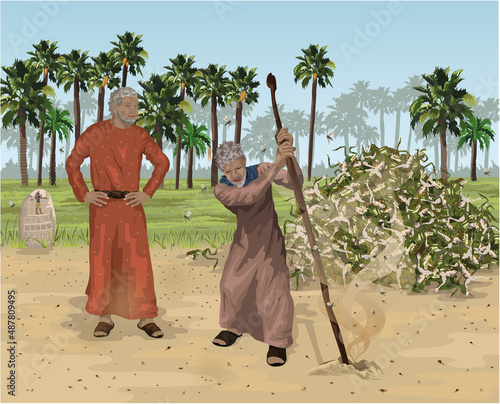 Third Egyptian Plague - Fleas, Gnats, and Lice - as in Exodus 8
