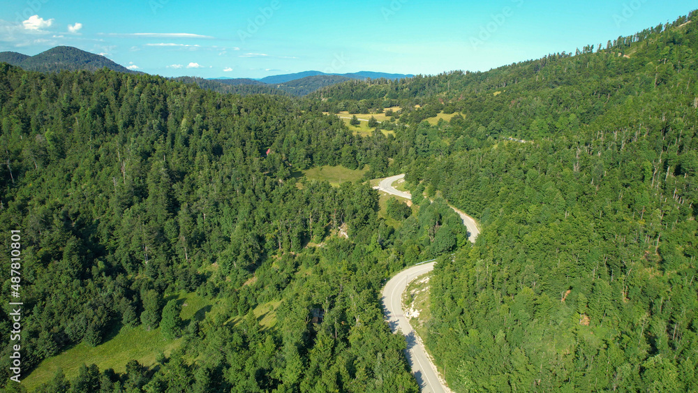 AERIAL: Aerial view of a road in lush green woods high in mountains of Slovenia.