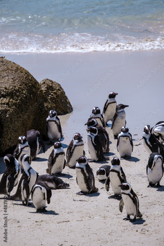Boulders Beach in Simons Town, Cape Town, South Africa. Beautiful ...