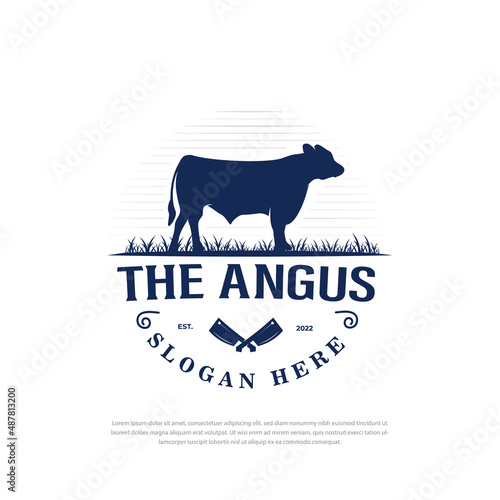 Angus cow animal logo on grass, Vintage Cow logo design inspiration Vector