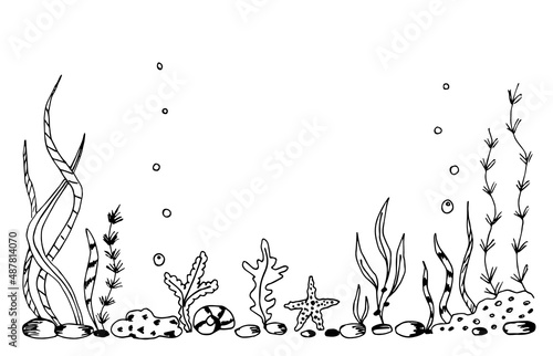 Fototapeta Naklejka Na Ścianę i Meble -  Simple hand-drawn vector drawing in black outline. Underwater world, seabed, nature. Kelp algae, reef corals, bubbles. For printing the label of fishing tackle, aquarium.