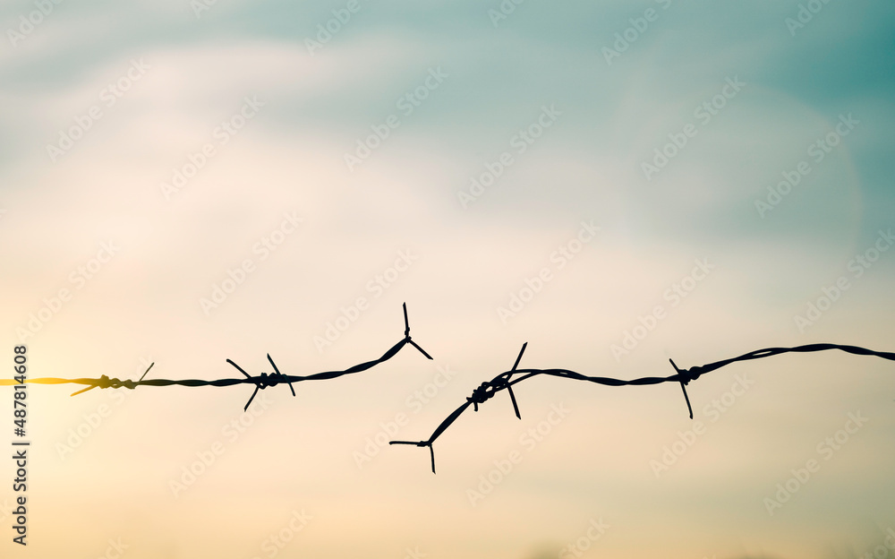 Barbed wire fence with sunset Twilight sky. Broke spike change transform to bird boundary concept for human rights slave prison hostage hope to freedom. International liberty day. abolition of slavery Barbed wire fence with sunset Twilight sky. Broke spike change transform to bird boundary concept for human rights slave prison hostage hope to freedom. International liberty day. abolition of slavery