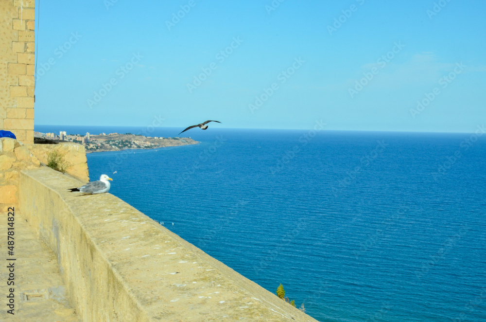 View from the Castillo de Santa Bárbara to the Mediterranean Sea in front of Alicante. On the castle wall sits a seagull looking out to sea