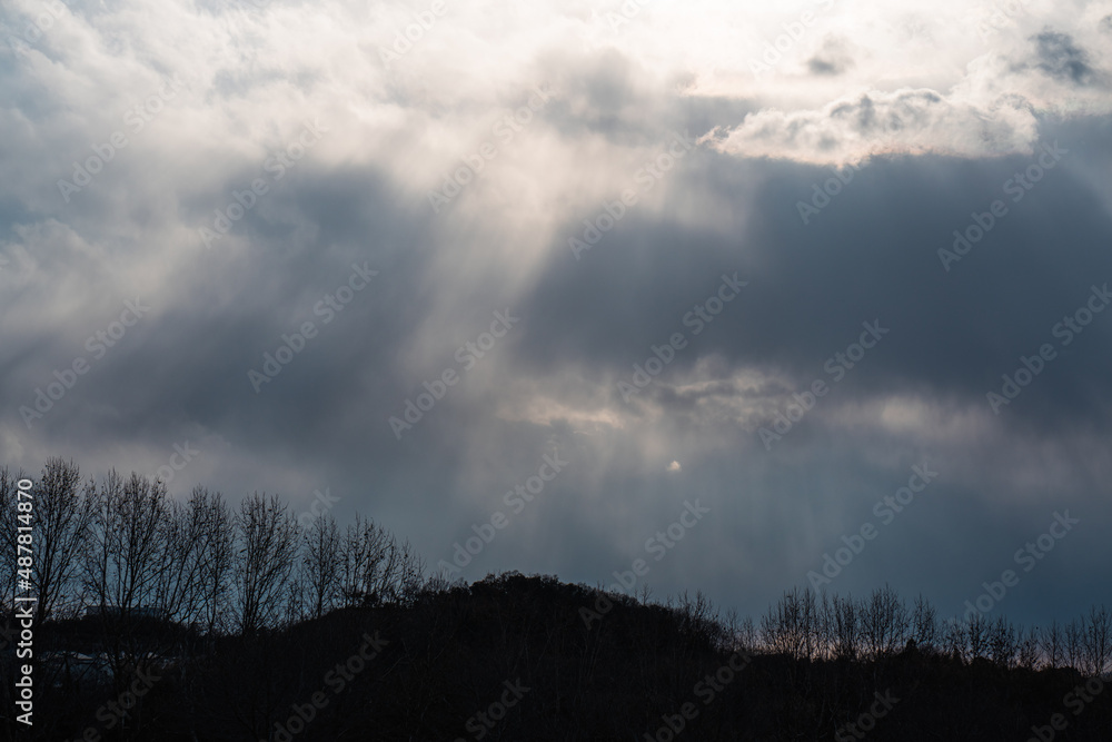 Obraz premium 丘の上の光芒