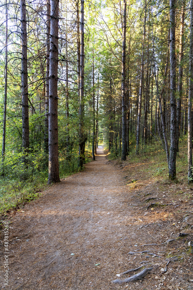 The Sila National Park