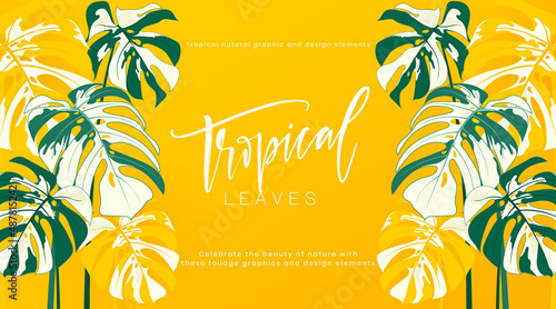 Tropical frame banner horizontal with monstera leaves on yellow background. Botanical vector creative design. Tropical leaves nature graphic element. Suit for poster, cover, cosmetics, spa, perfume.