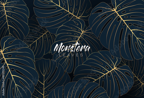 Tropical elegant monstera leaves. Luxury nature leaf texture design with golden line arts on dark blue background. Hand drawn leaf outline element. Luxury simple monstera leaf vector concept.