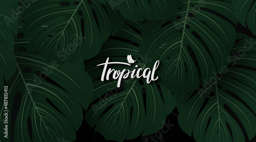 Tropical monstera leaf texture vector. Nature tropical dark green leaves graphic design element. Hand drawn monstera leaves on dark background. Modern simple tropical leaves. Vector illustration