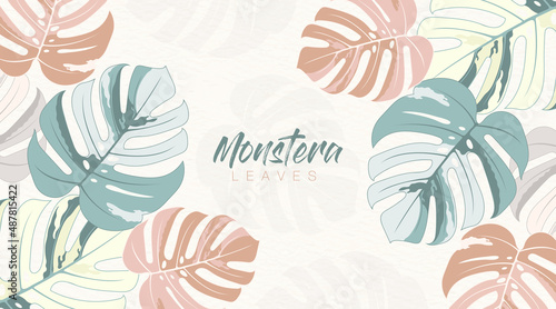 Tropical monstera leaves pattern on white background. Pastel botanical vector creative design. Trendy minimalist leaves graphic element. Hand drawn monstera palm leaves vector concept.