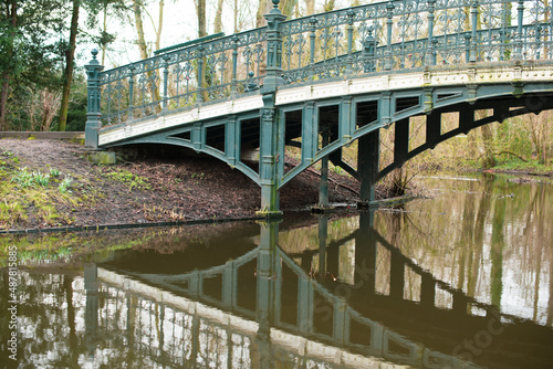 reflection in the pond in Vondel park 