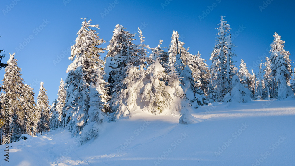 Winter landscape in the Polish mountains of the Sudetes, snow-covered forest on a hiking trail in the mountains, thick snow cover. Winter landscape in the Polish mountains of the Sudetes, snow-covered forest on a hiking trail in the mountains, thick snow cover.