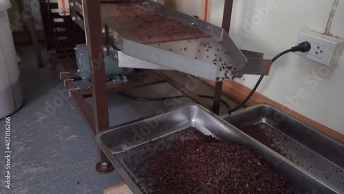 Removing Lighter Shell Of Crushed Cacao Beans In A Winnowing Machine. static photo