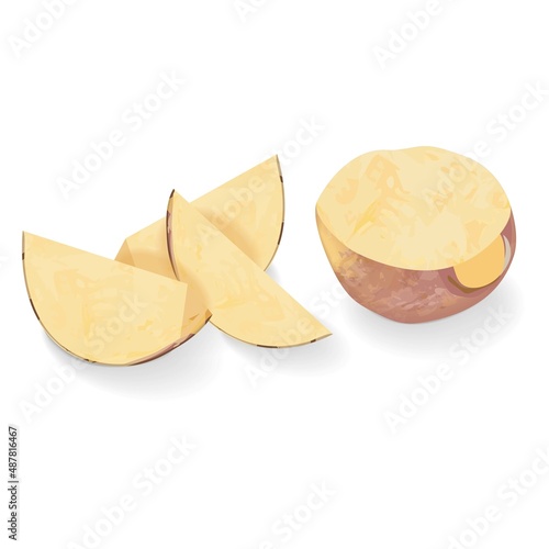 Whole and quarter of rutabaga for banners, flyers, posters, cards. Root of swede. Fresh organic and healthy, diet and vegetarian root vegetables. Vector illustration isolated on white background