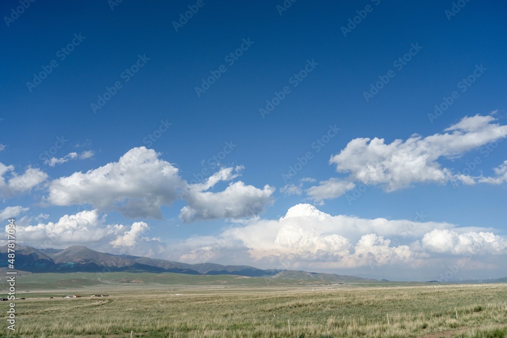 Grassland, blue sky and white clouds by Qinghai Lake