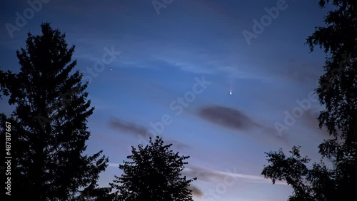 Timelapse view of Comet Neowiseing across the evening sky among the stars over the forest seen during 2020. comet c2020 f3 neowise against the background of trees on night sky.  photo