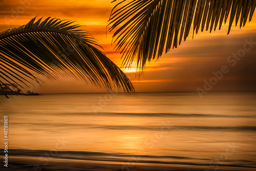 Fototapeta Naklejka Na Ścianę i Meble -  Sunset in Negril, Jamaica at Bloody Bay with palm trees.