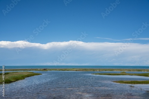 On the grassland by Qinghai Lake  there are blue sky and white clouds in the sky