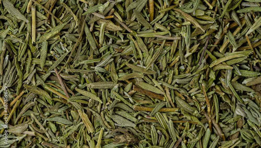 Dry thyme pattern. Italian herbs and seasoning