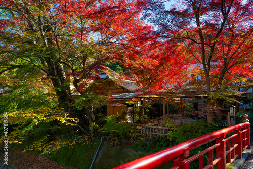 静岡県伊豆市修善寺温泉街の紅葉