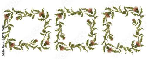 Set of vintage watercolor botanical frames with thistle, wild flowers hand drawn illustration isolated on white.