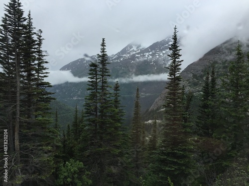 Alaska Wilderness © wayne