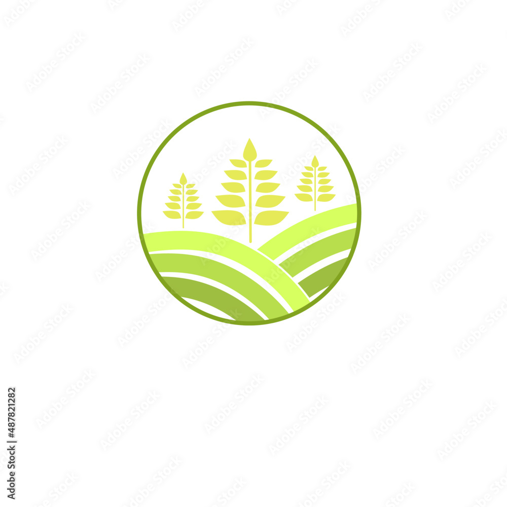 Obraz premium Illustration vector logo farm wheat