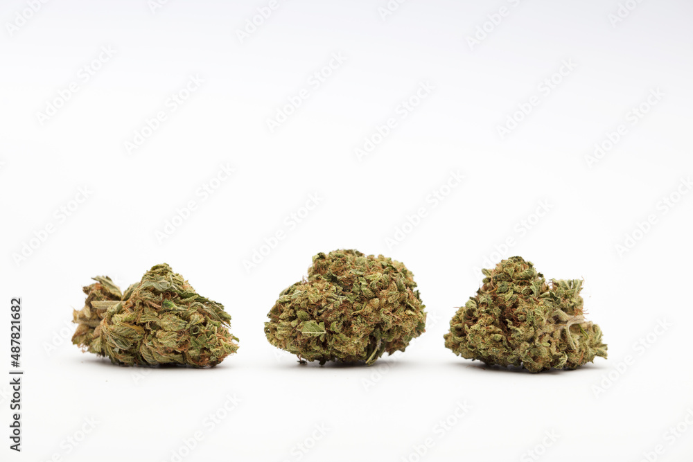 three marijuana buds. White background three marijuana buds. White background